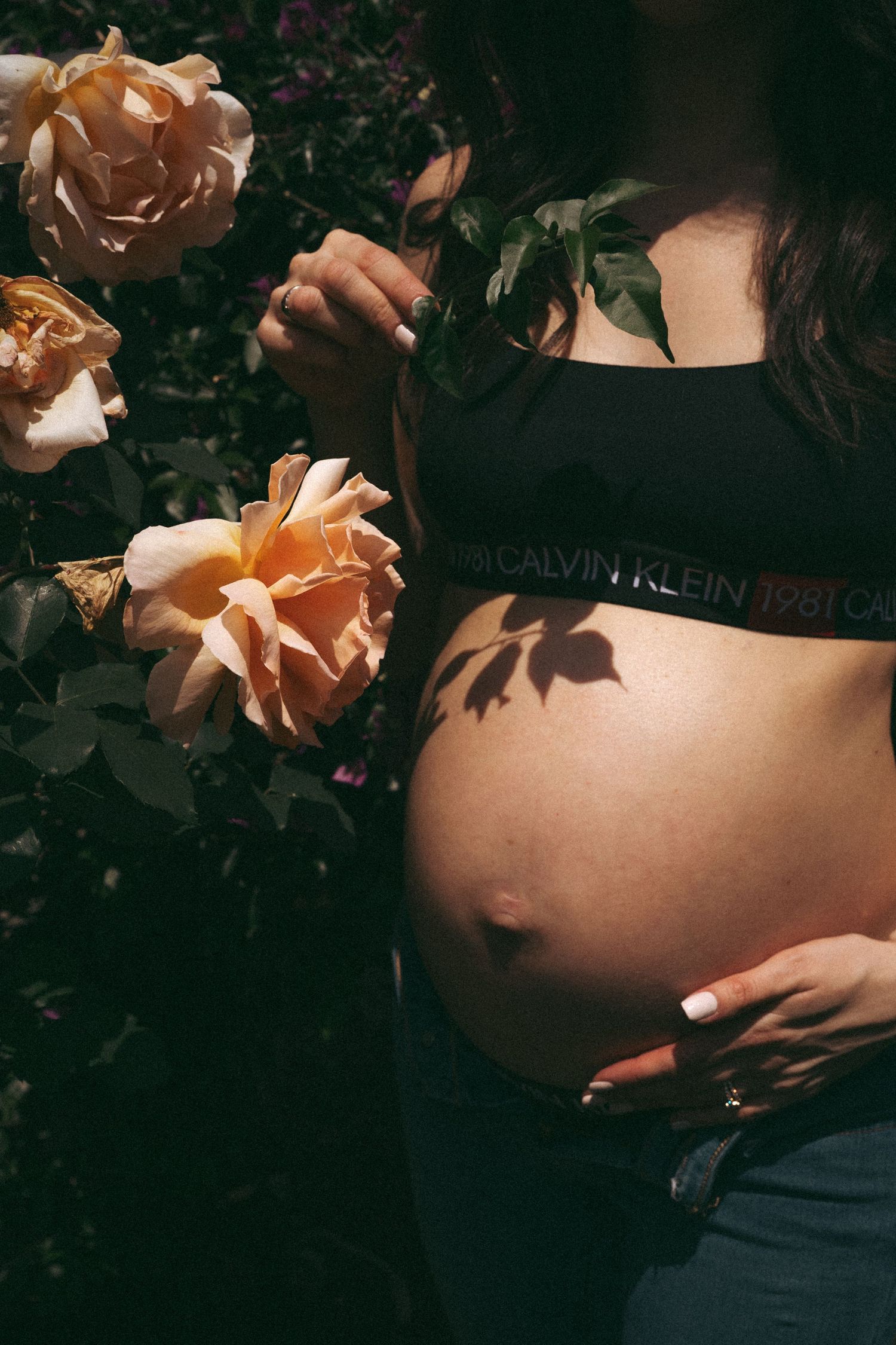 Artistic maternity photo with peach roses and a Calvin Klein top showing a pregnant belly.