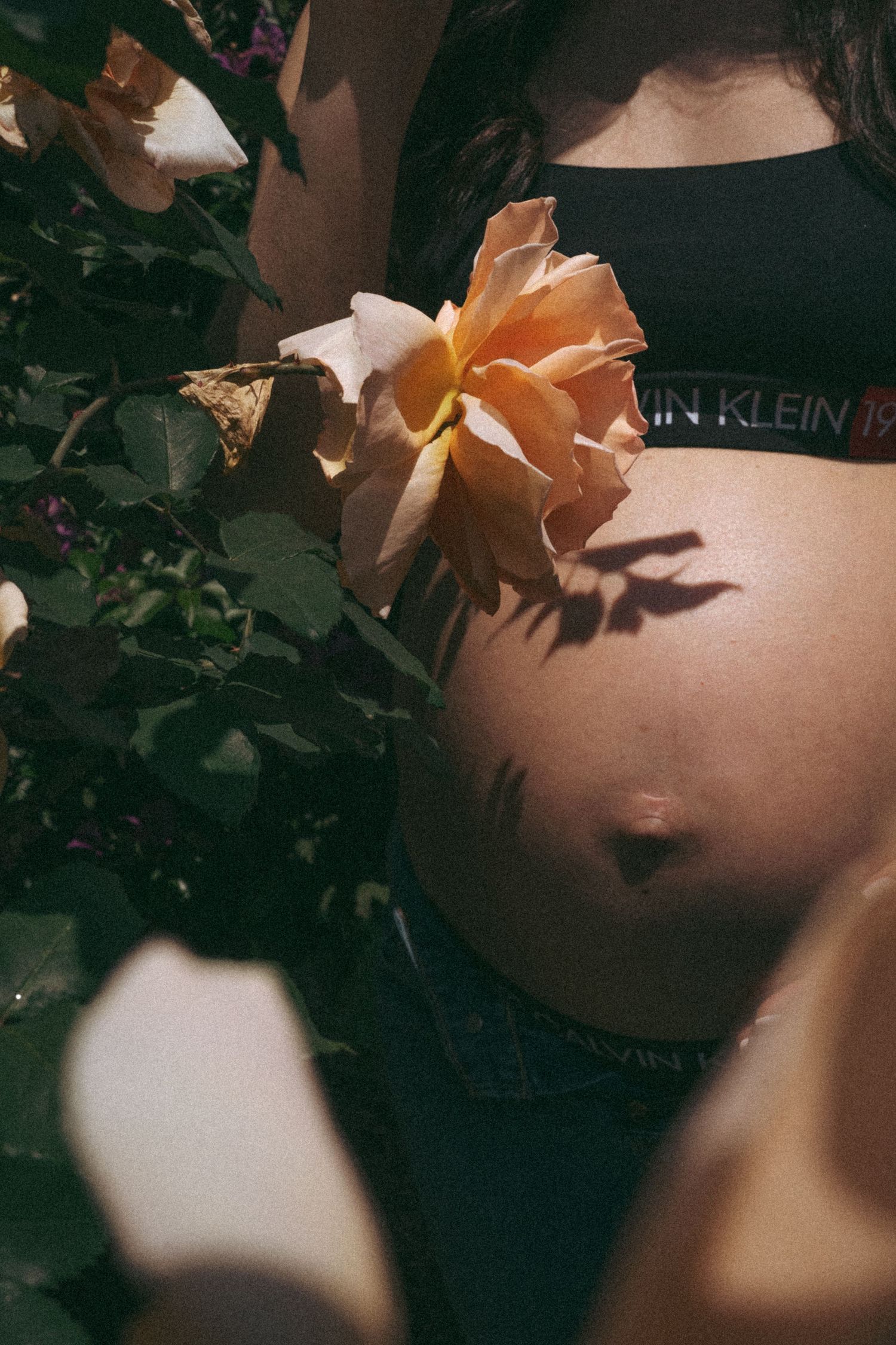 Artistic pregnancy photo with peachy roses casting shadows on the belly.