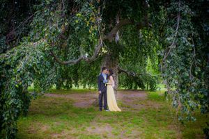 A wide angle view of a wedding couple looking into each other's eyes as they stand between a large ornamental tree canopy.