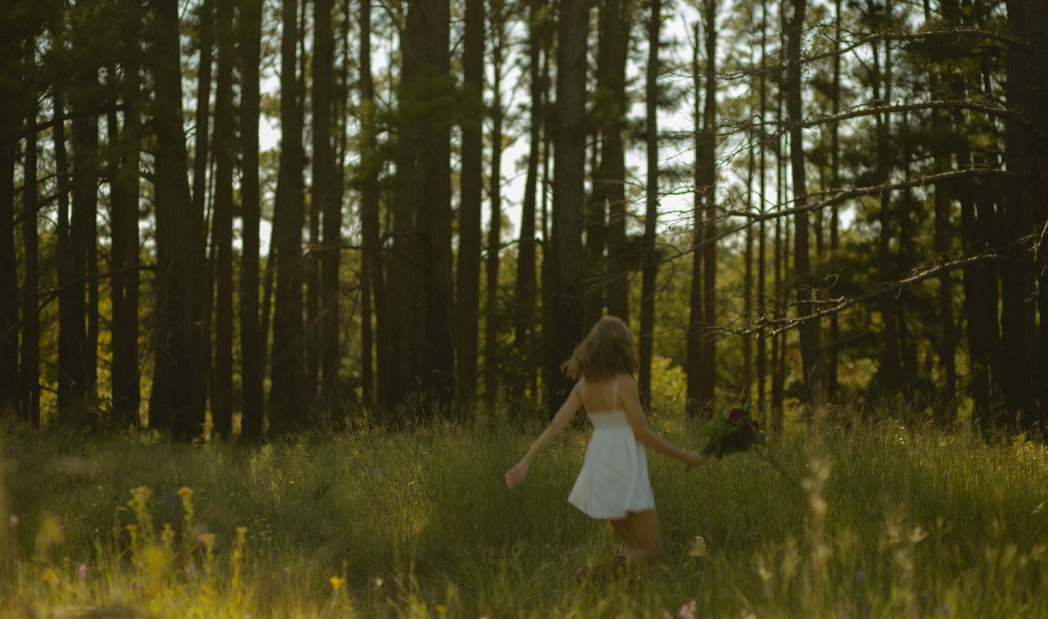 Woman in white dress walking through sunlit forest meadow surrounded by tall pine trees.