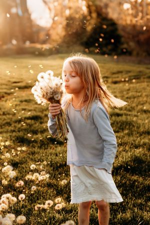 Young girl blowing on a dandelion in a golden hour field during a family photoshoot in Branson, MO by L. Ballenger Photography.