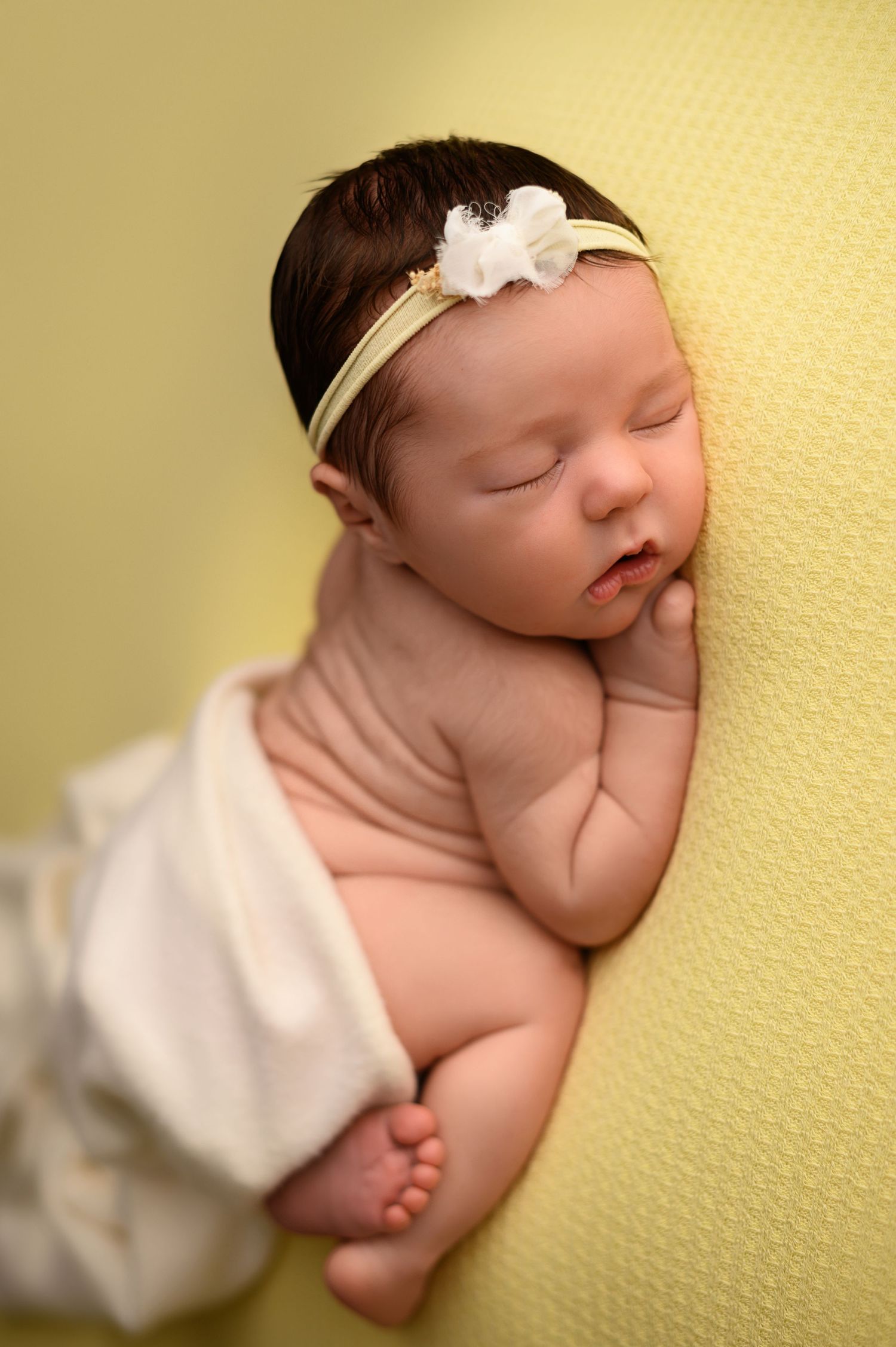 Omaha Newborn Photographer