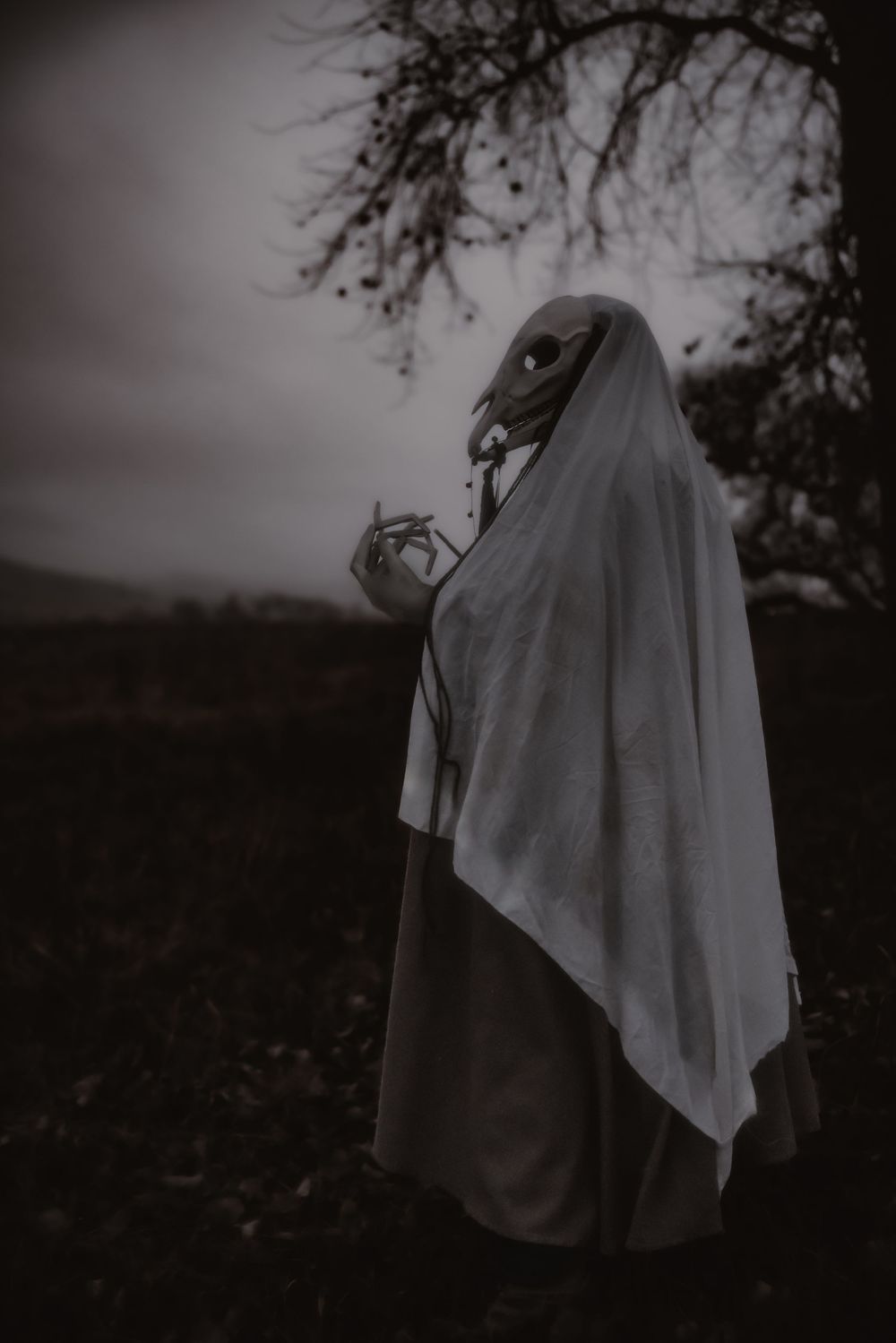 A ghostly figure in white shroud stands in a dark field beneath bare tree branches in eerie black and white photography.