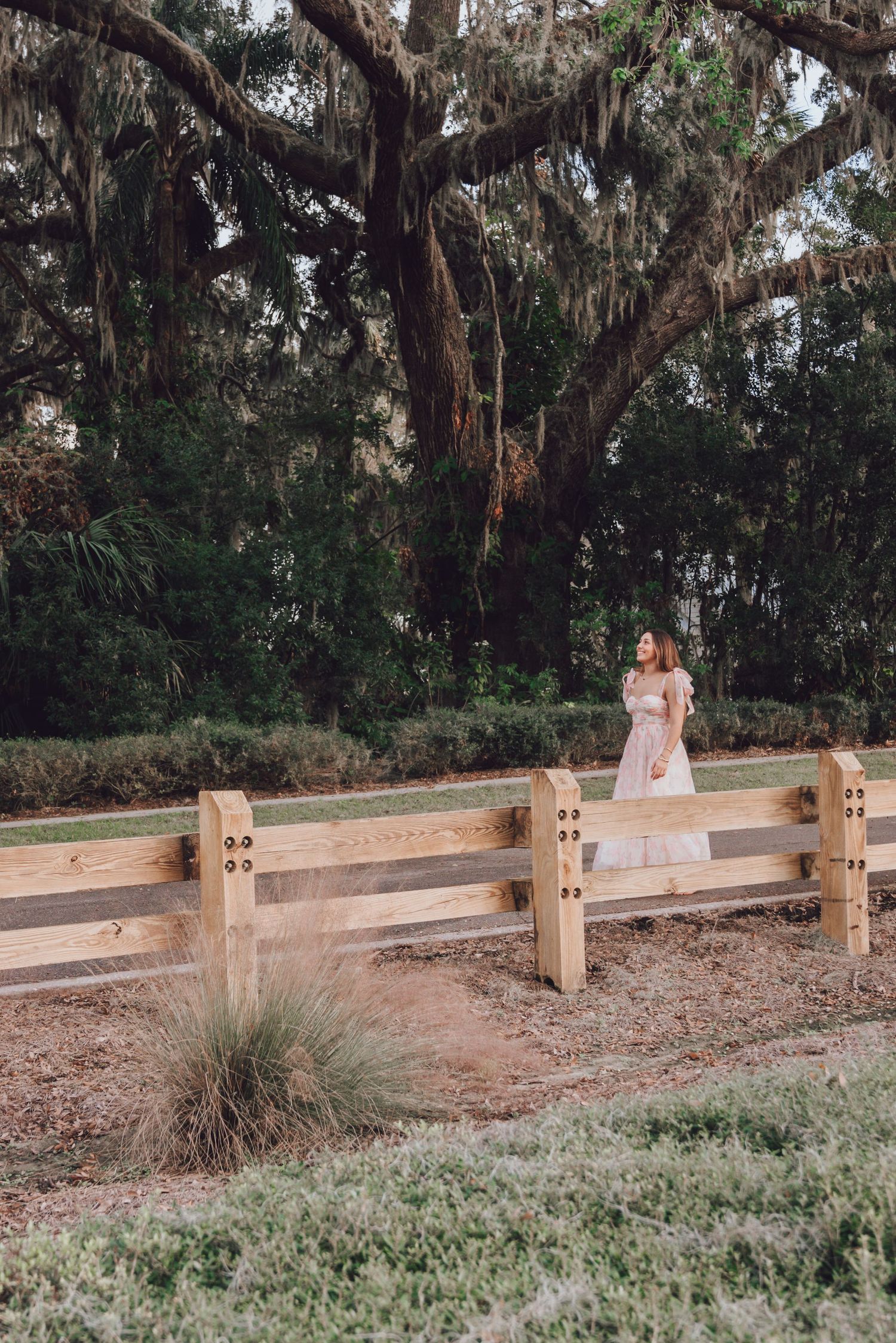 Figure in light dress standing on wooden fence under moss-draped oak trees.