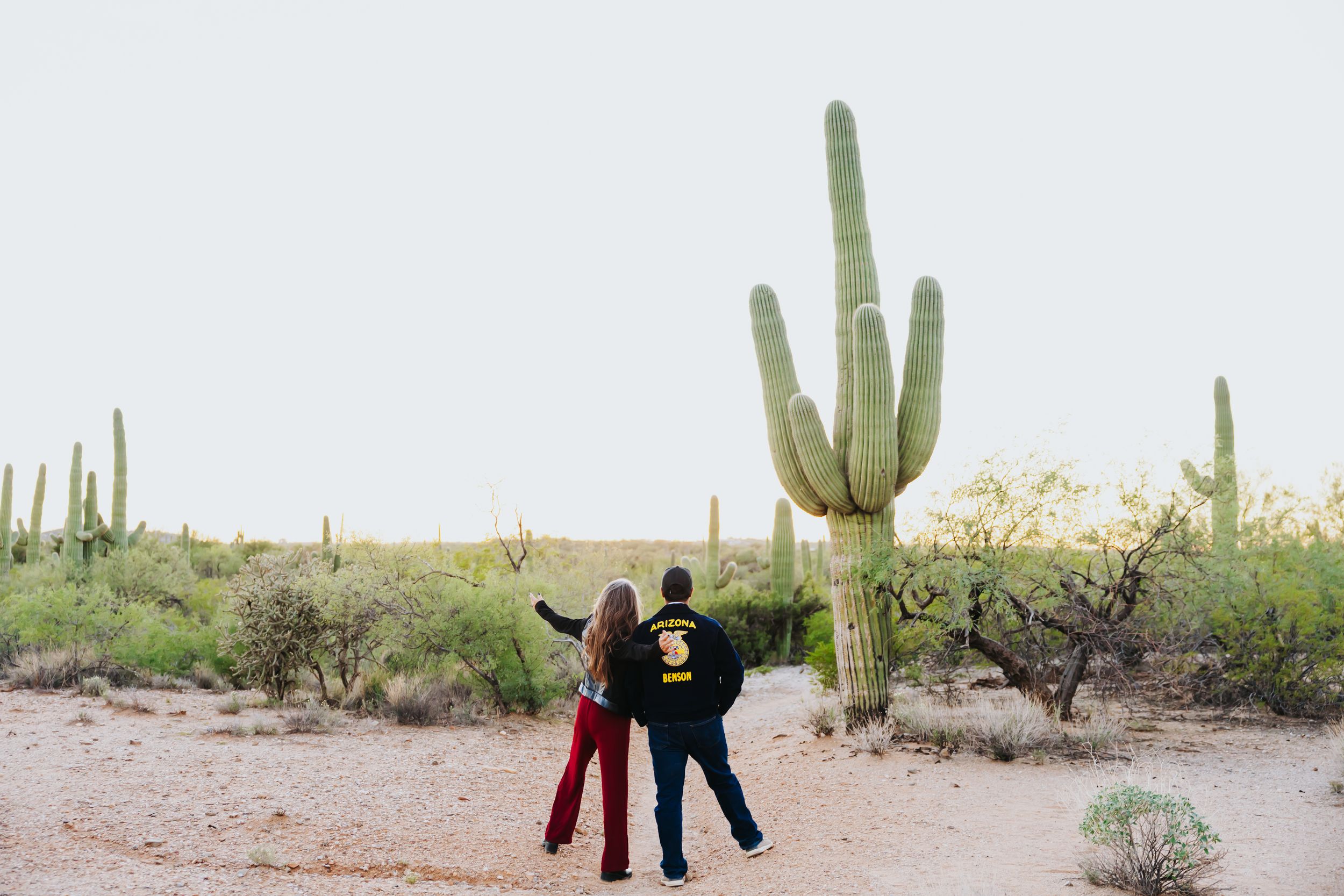Silhouettes of people walking among tall saguaro cacti in desert landscape.