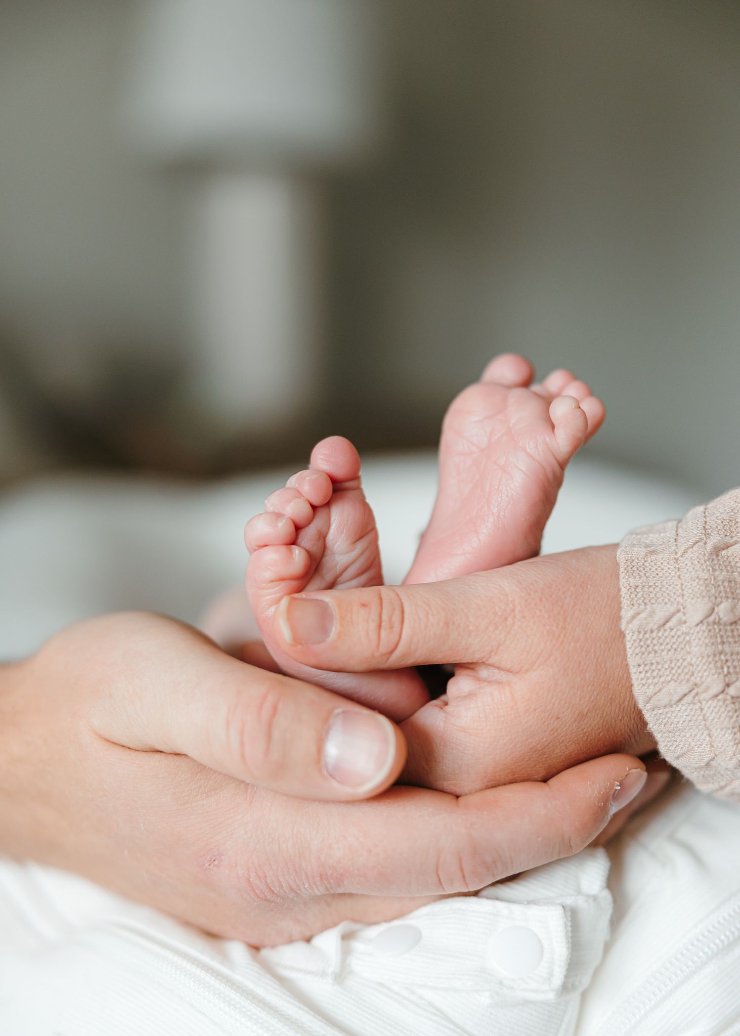 Newborn