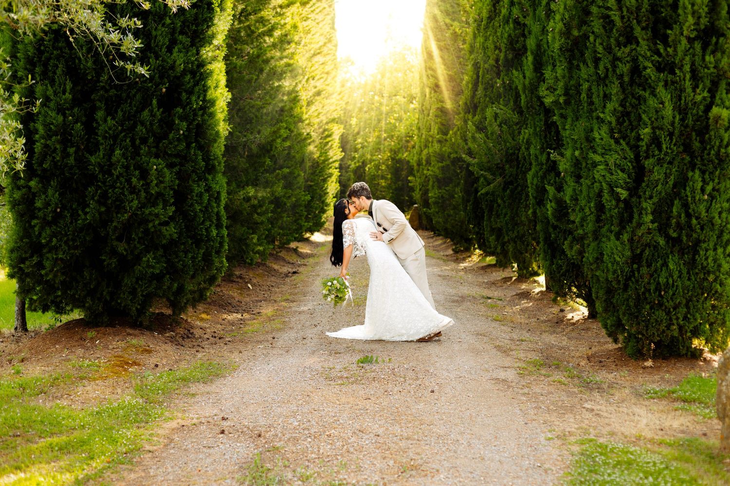 Romantic garden pathway lined with cypress trees and golden sunlight.