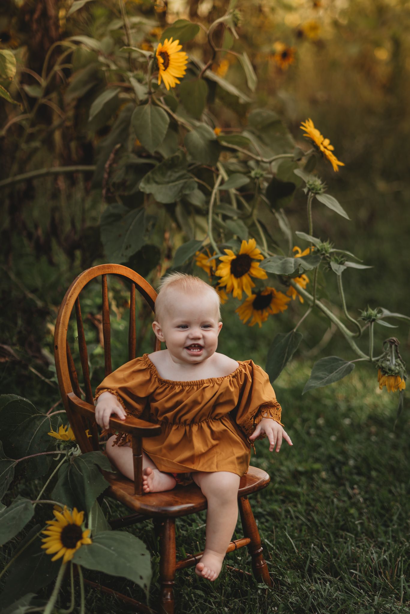 Toddler in a sunflower patch