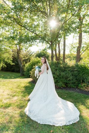 A stunning wedding dress with a long lace train catches golden sunlight in a garden setting surrounded by trees.