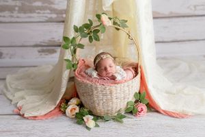 baby in basket with a curtain and flowers detres photography