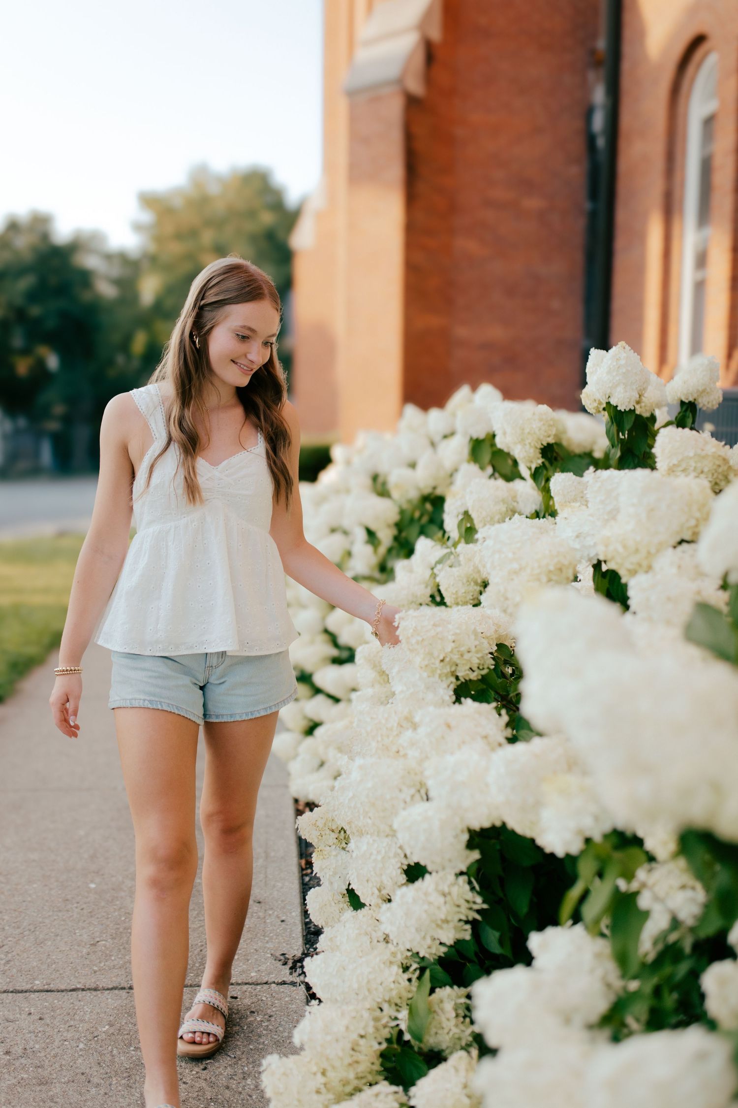 White hydrangea bushes bloom along a brick building as someone walks past in denim shorts and sandals.