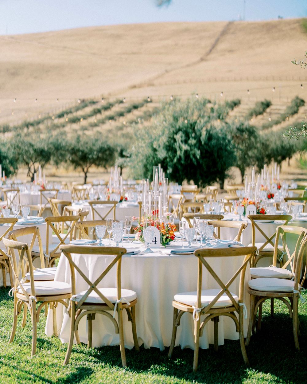 Elegant outdoor wedding reception setup with rustic wooden chairs and white tablecloths against rolling hills landscape.