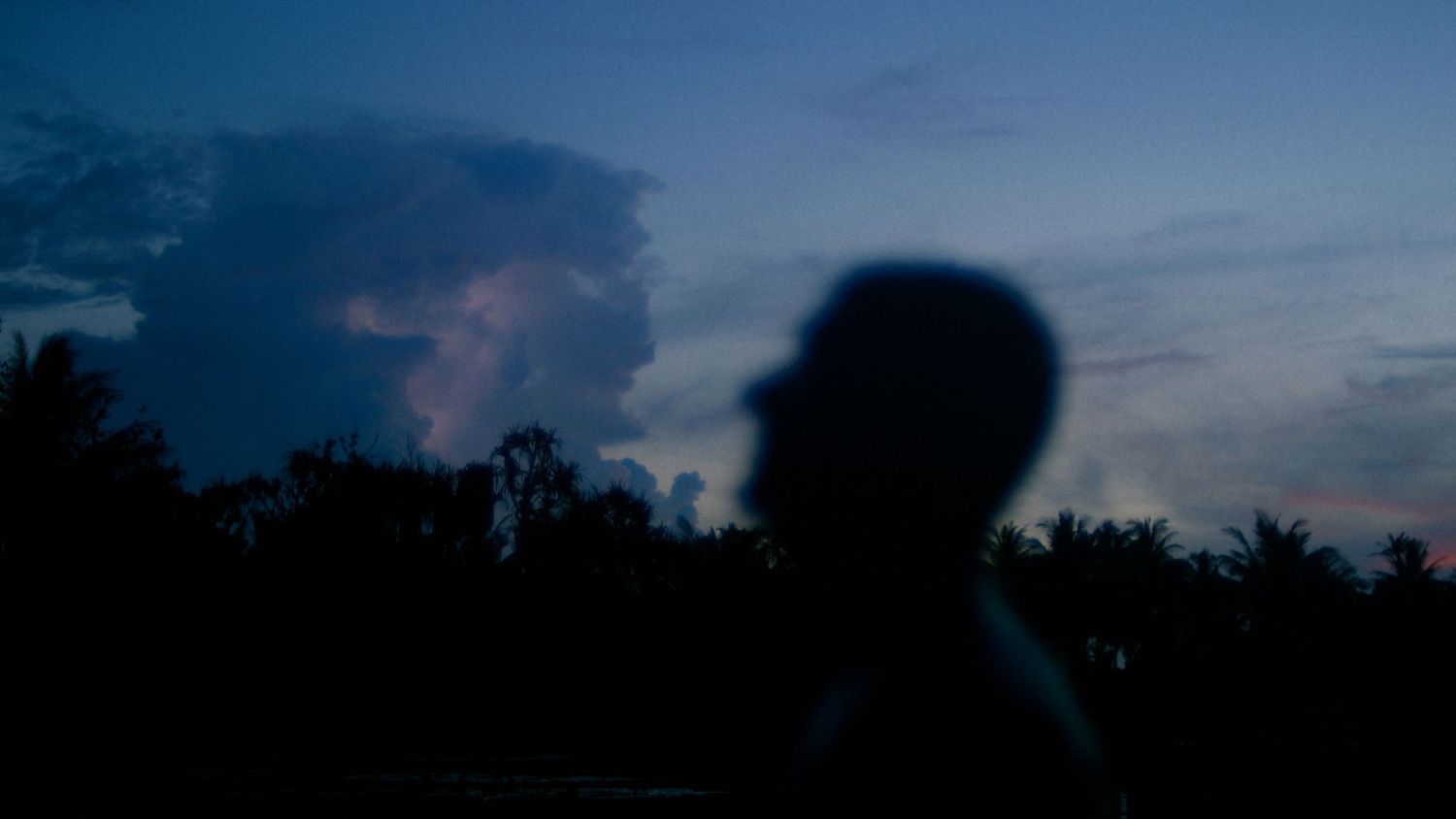 Silhouette of a person against a dramatic twilight sky with clouds and tropical trees at dusk.