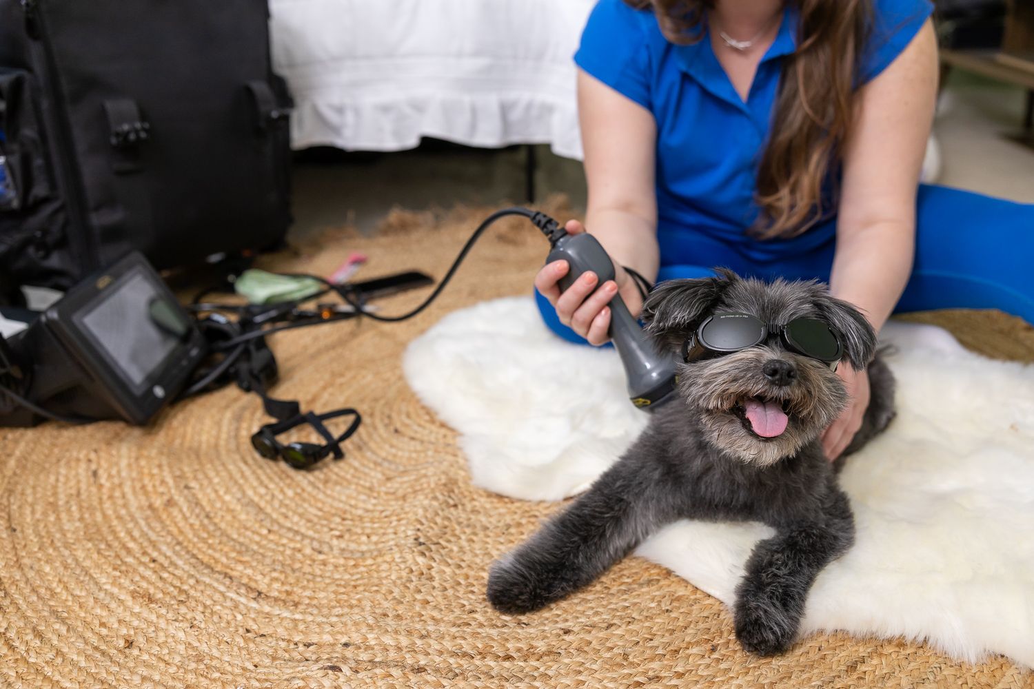 mobile veterinary female owned business in Kirkland, WA home visit branding using wave frequency on dog wearing goggles