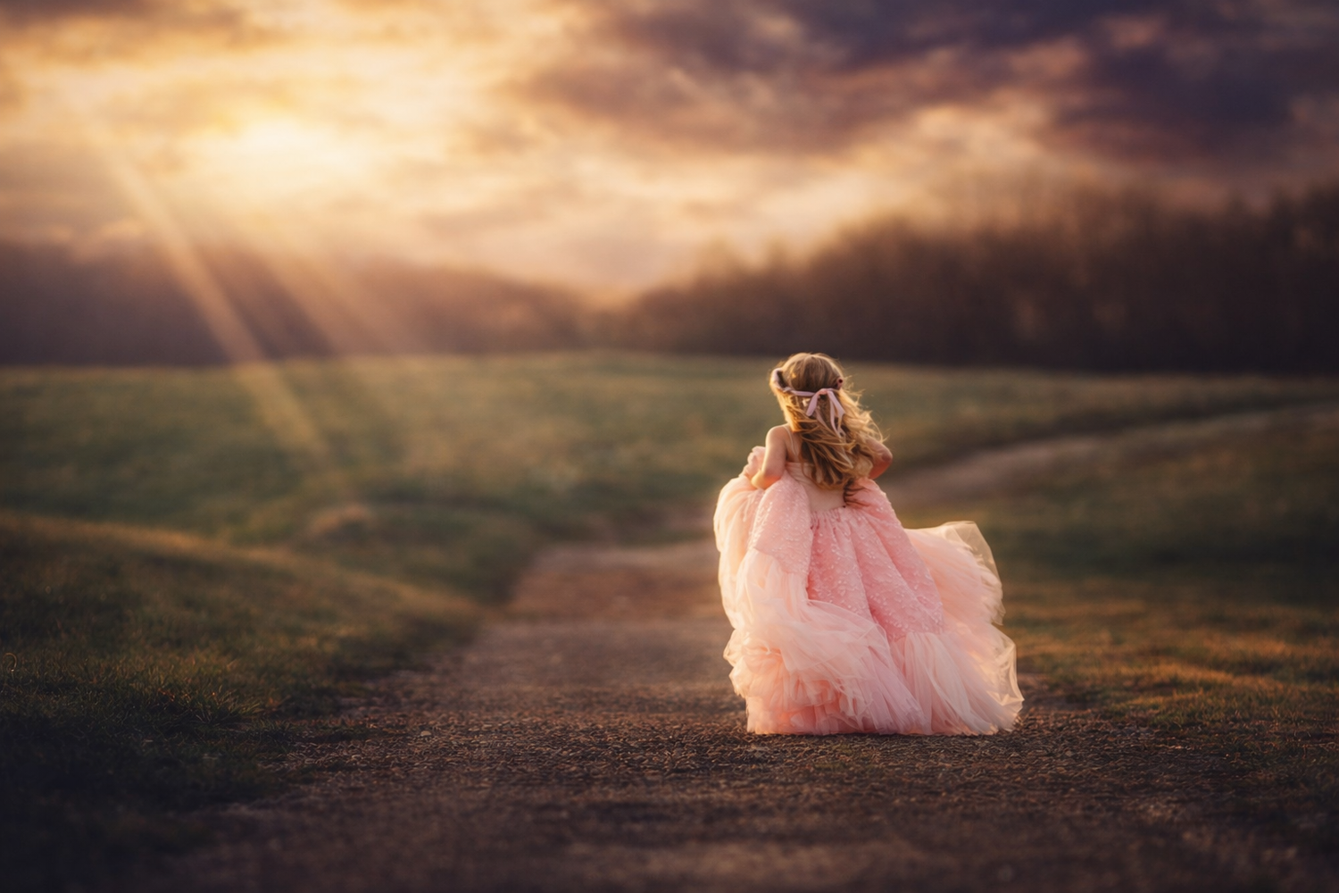 magical unicorn session in wildlfowers in woodstown new jersey