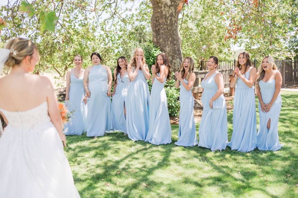 Bride reveals wedding dress to bridesmaids in light blue gowns outdoors, capturing emotional reactions on sunny day.