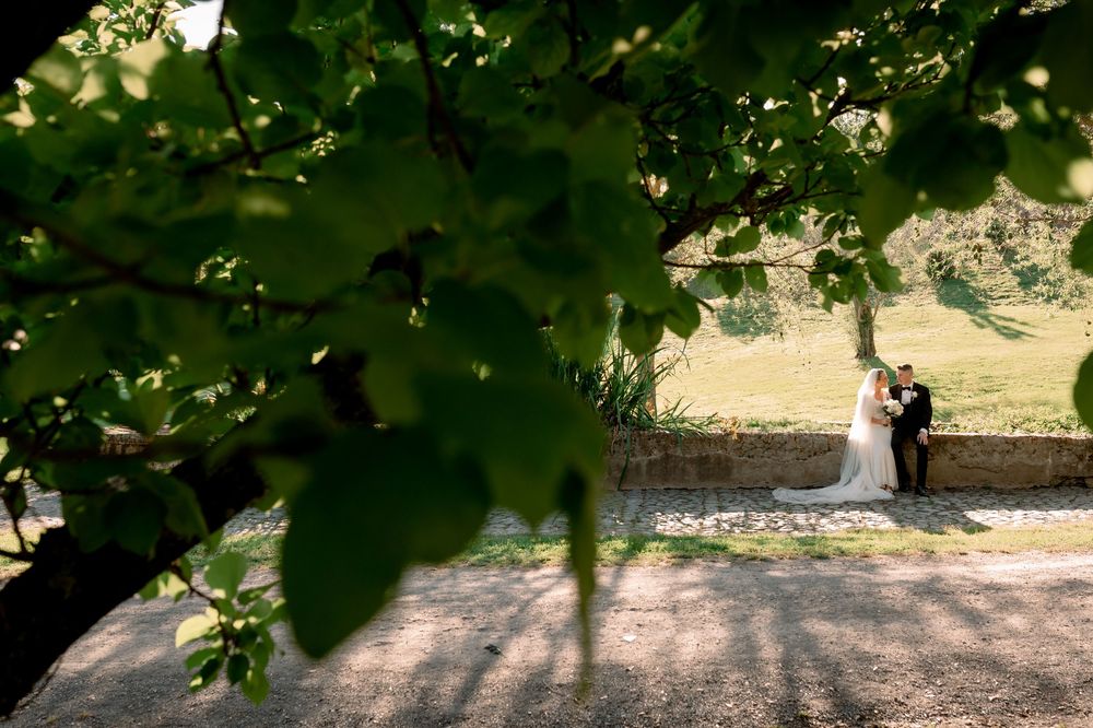 Bride and groom share romantic kiss framed by lush green tree branches at scenic outdoor venue.