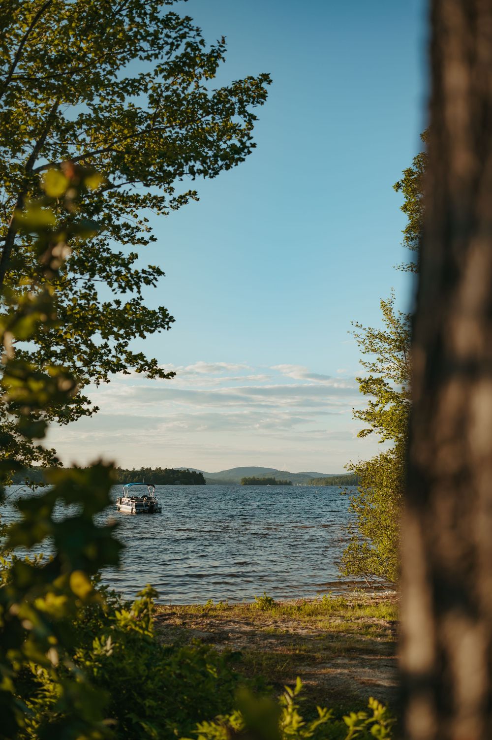 A serene lake view framed by lush green trees with a boat on calm water and distant hills under a clear blue sky.