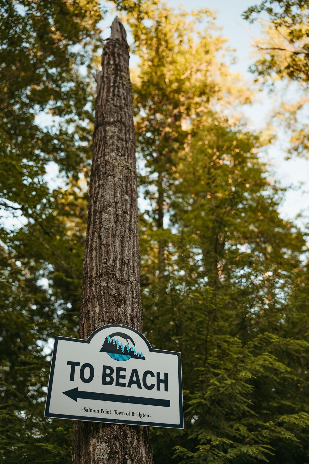 A wooden sign reading 'To Beach' with an arrow, mounted on a tree trunk at Salmon Point, Town of Bridgton.