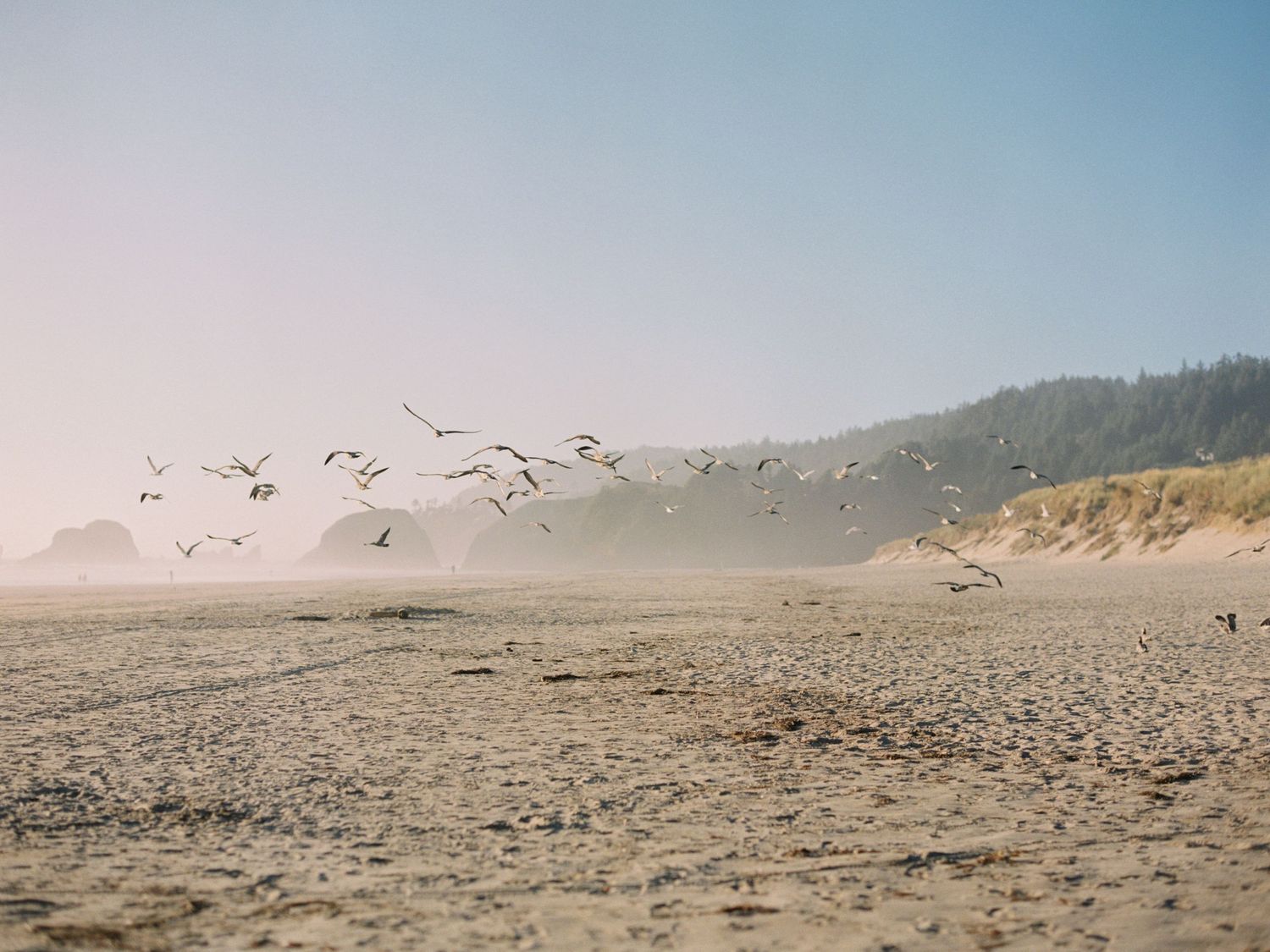 Cannon Beach coastline in Oregon