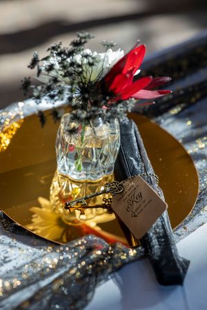 Milestones Studios LLC, Milestones Portraits wedding photography, Castle Gardens Kuna, Idaho