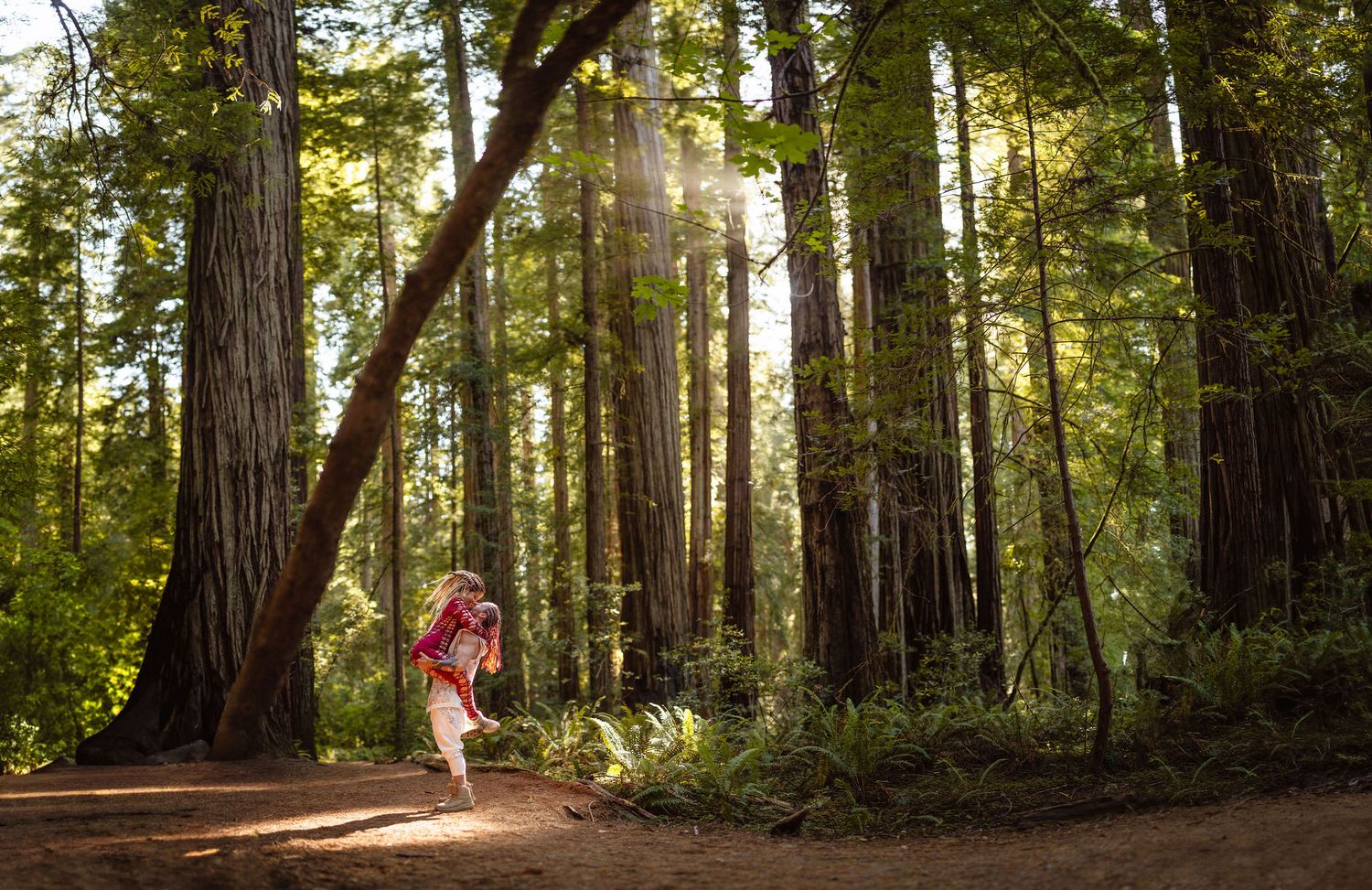 Couple embracing in a sunlit redwood forest with towering trees surrounding them.