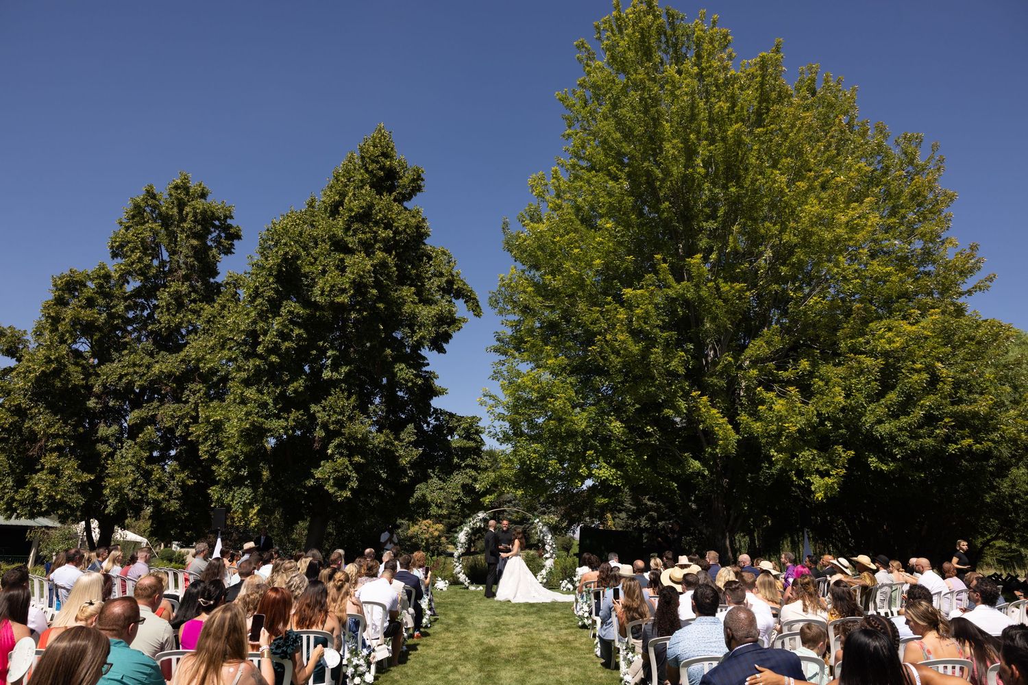 Outdoor wedding ceremony on lush green lawn with guests seated in rows, floral arch, and tall trees under clear blue sky.