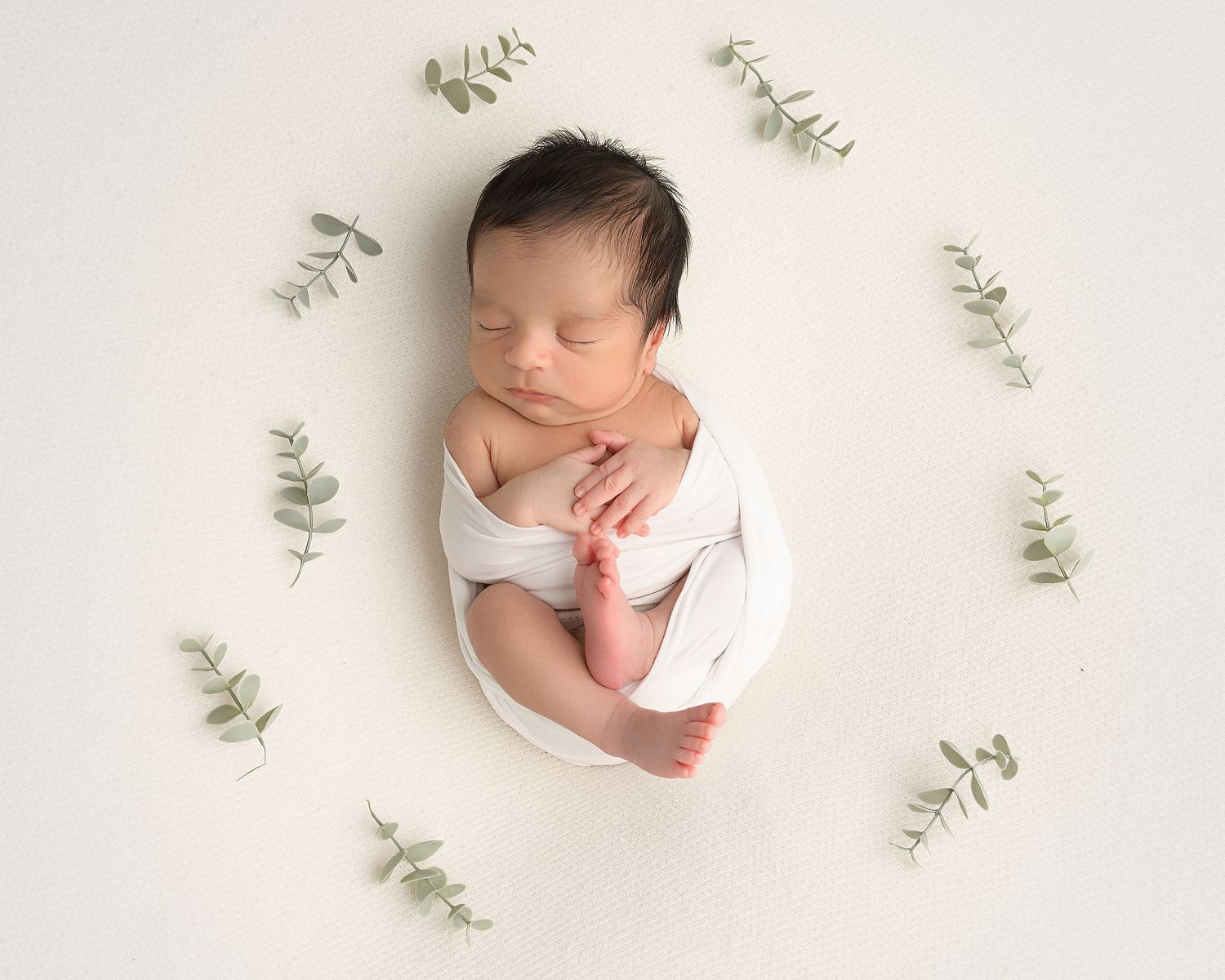 Tampa Bay newborn photographer capturing a sleepy newborn in a soft wrap with tiny hands and toes in a Zephyrhills FL studio.