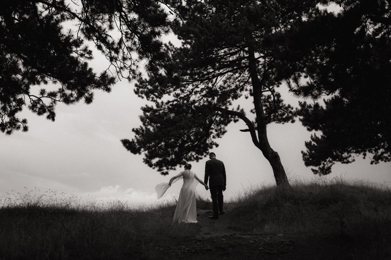 Black and white photo of a bride and groom standing under a tree on a misty hillside.