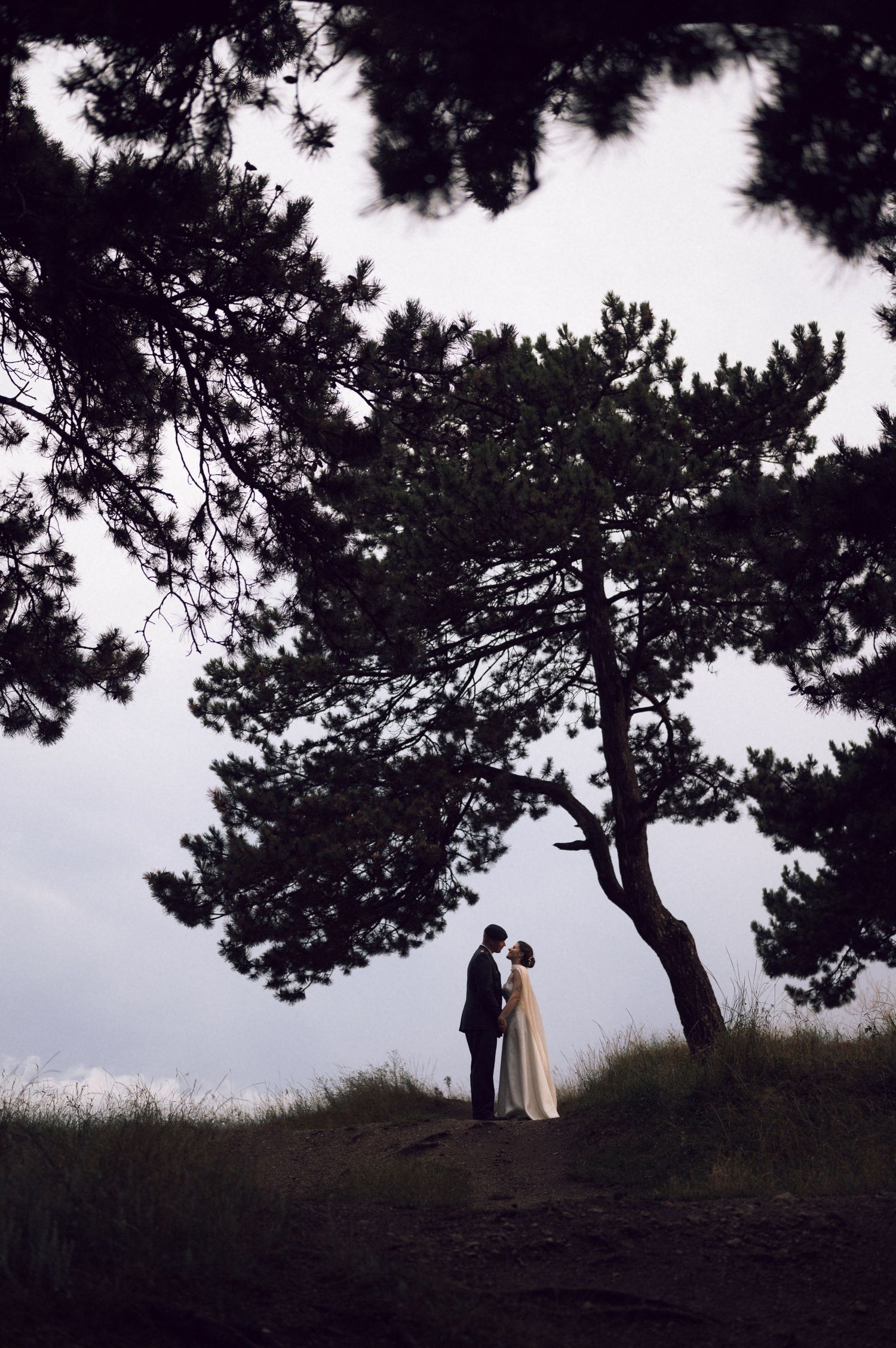 Bride and groom share romantic moment under pine trees on a hilltop at dusk during outdoor wedding ceremony.