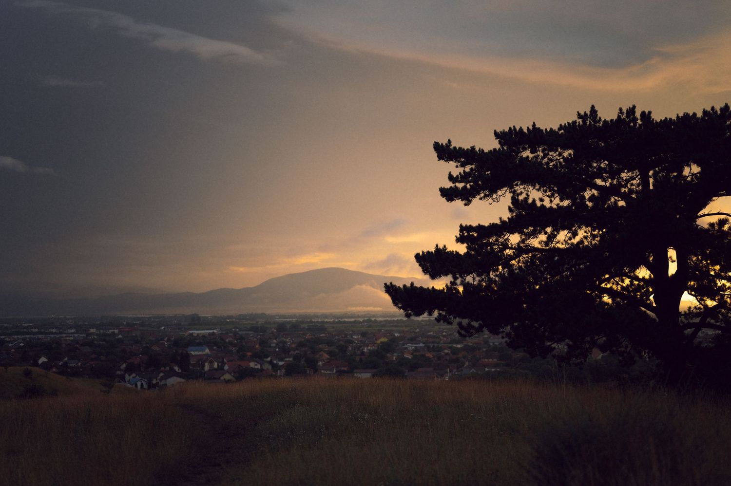Silhouette of a pine tree at dusk overlooking a city with mountain backdrop and dramatic stormy sky.