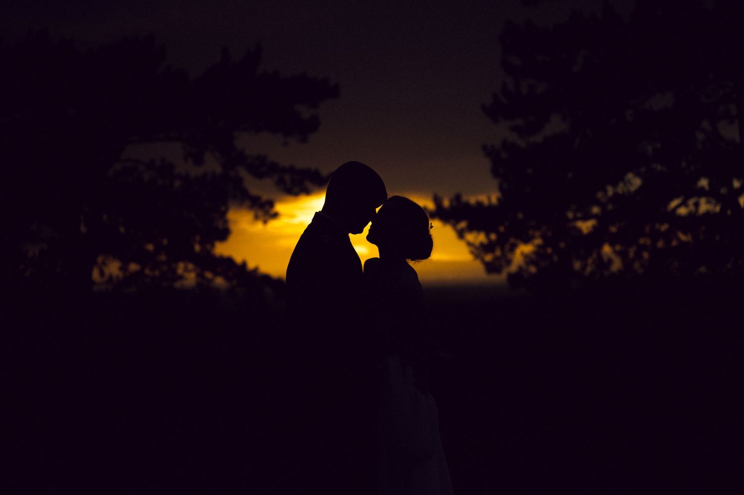 Romantic silhouette of a couple sharing an intimate moment at sunset with glowing orange sky and trees.