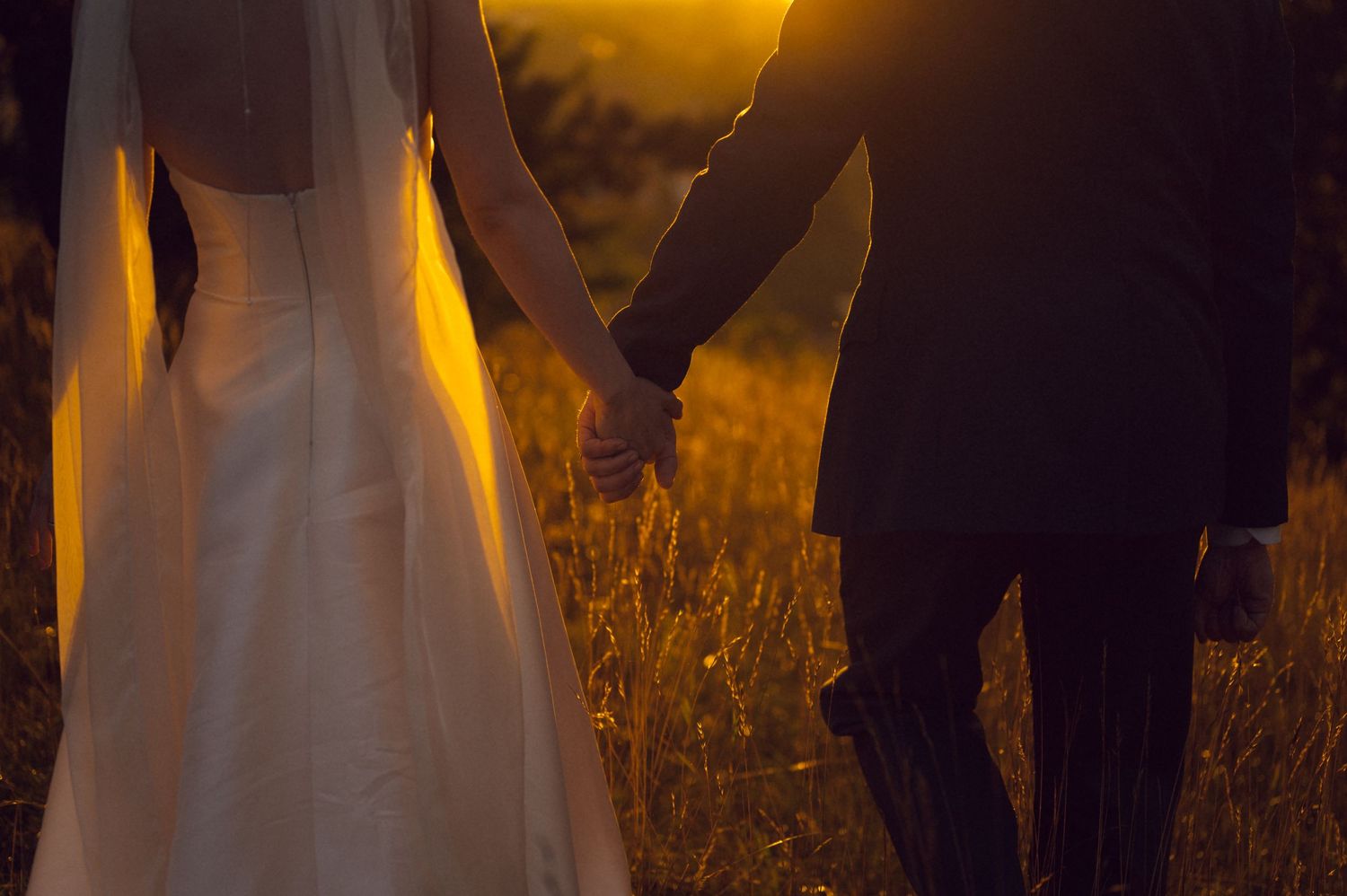Bride and groom holding hands at sunset in a golden field, romantic wedding couple silhouette.
