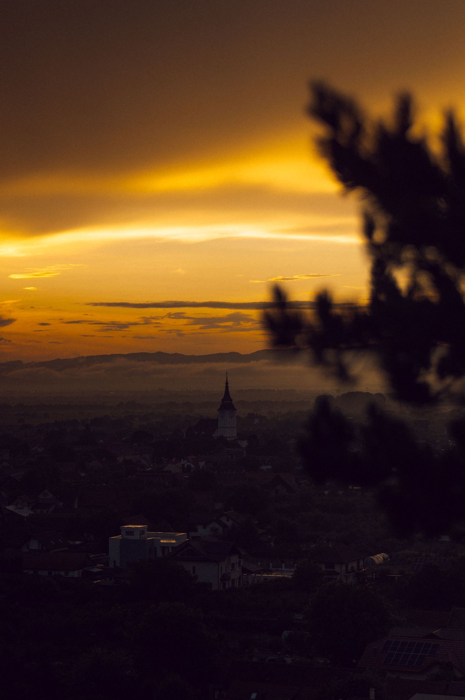 Golden sunset over a city skyline with a church steeple silhouette, framed by dark tree branches.