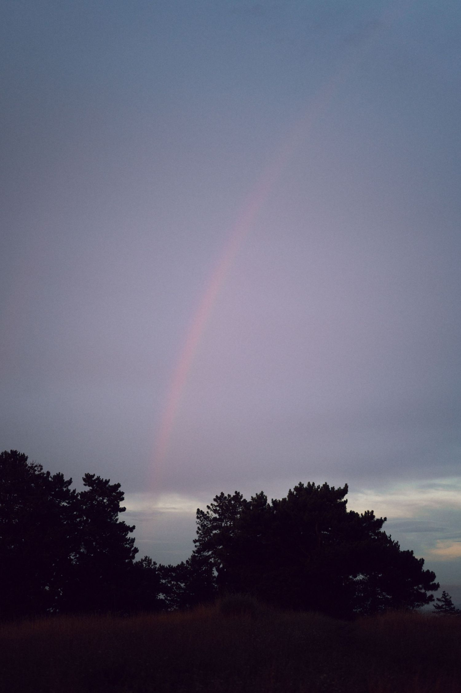 A faint rainbow arcs over silhouetted trees against a moody twilight sky with soft purple and gray clouds.