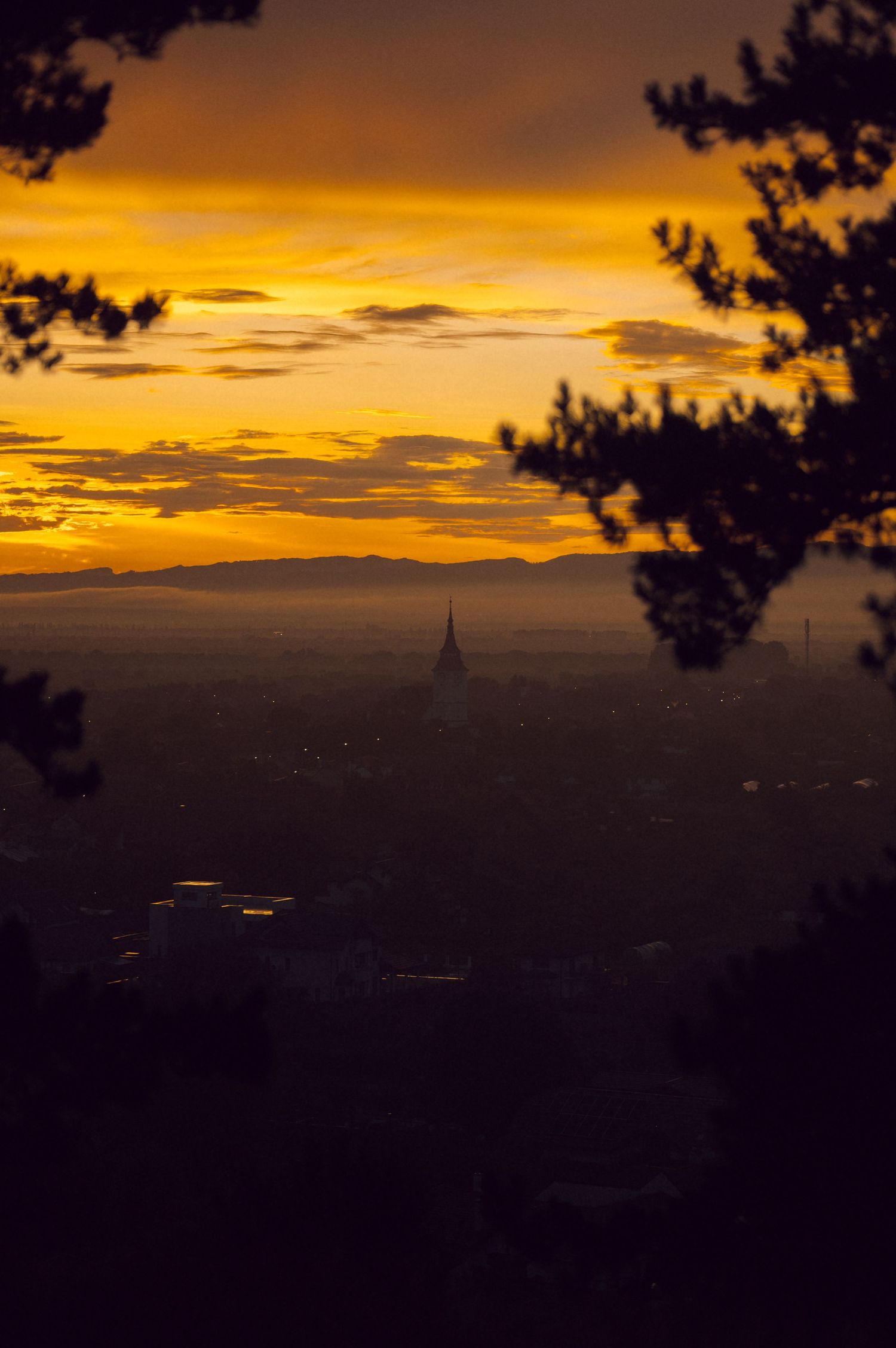 Golden sunset silhouettes pine trees framing a misty cityscape with a church spire visible against dramatic orange clouds.
