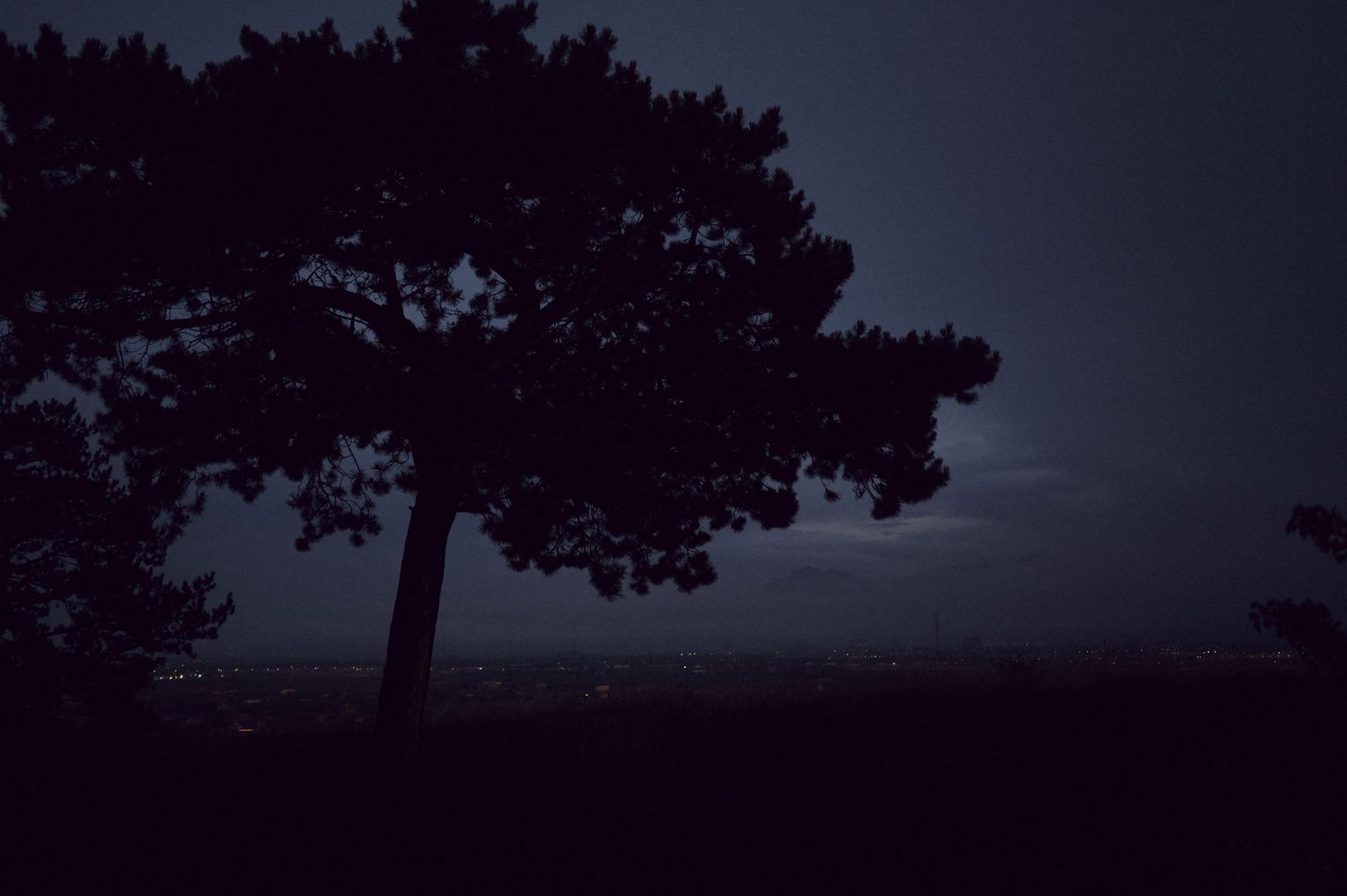 Silhouette of a large tree against a dark moody night sky with a faint glowing horizon in a rural landscape.