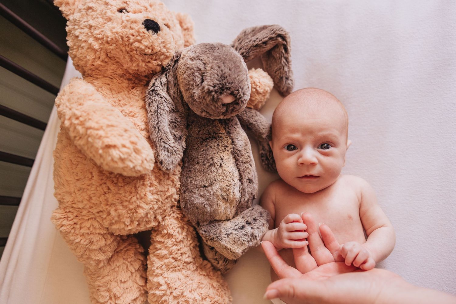 Newborn baby lying between two soft plush teddy bears, with an adult gently holding the infant's hand during baby photoshoot