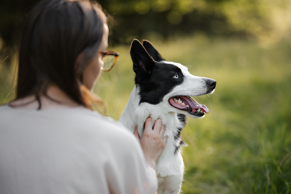 Portrait d'une femme et son chien dans la forêt