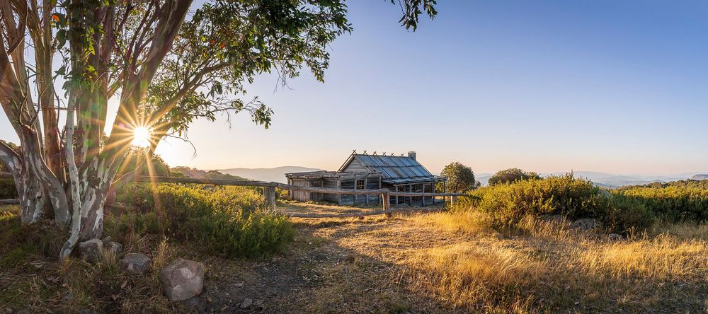 Rustic farmhouse at golden hour with sun rays through eucalyptus tree, overlooking scenic rural landscape.