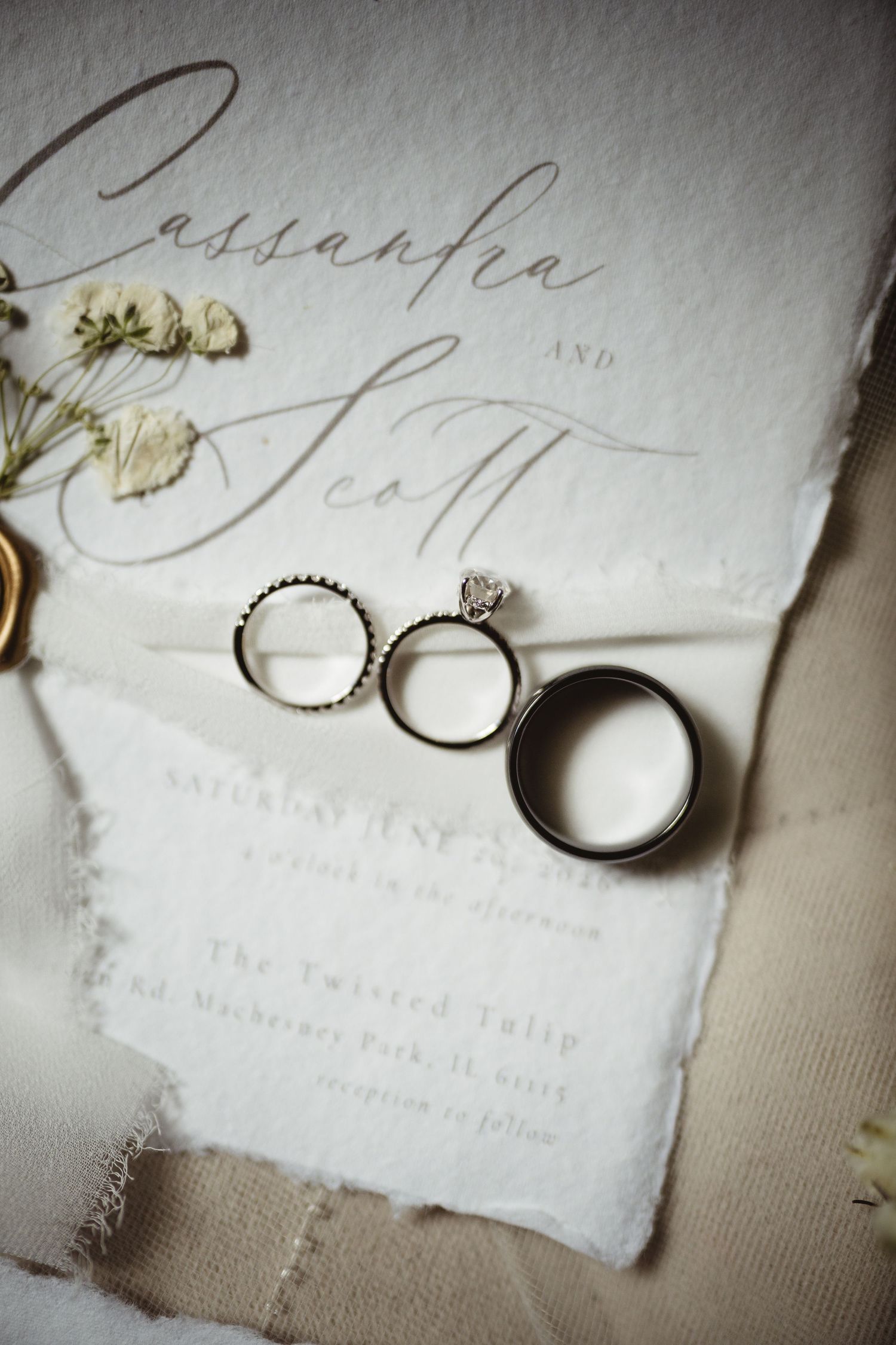 Wedding rings resting on elegant calligraphy invitation for Cassandra and Scott at The Twisted Tulip.