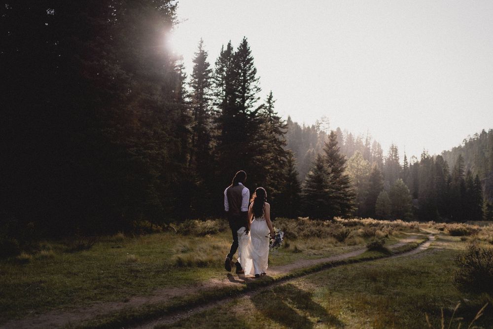 Couple in wedding attire walking hand in hand on a sunlit forest path surrounded by tall pine trees in Jemez Wilderness