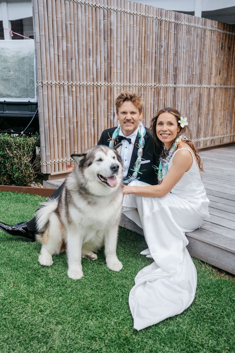 Bride and groom in wedding attire pose with a large Alaskan Malamute dog on green grass outdoors.