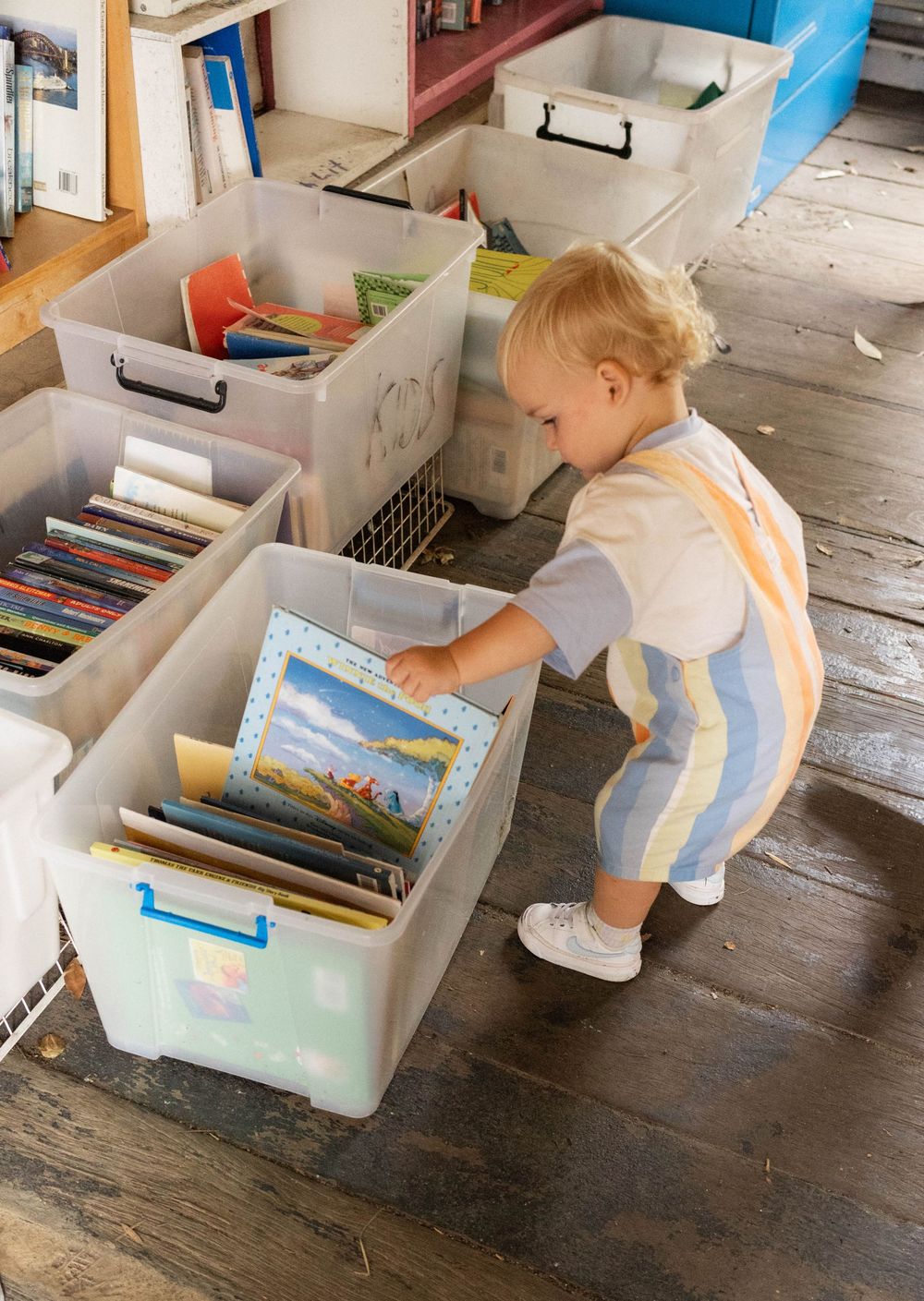 Curious toddler browses children's books in plastic bins at a bookshop.