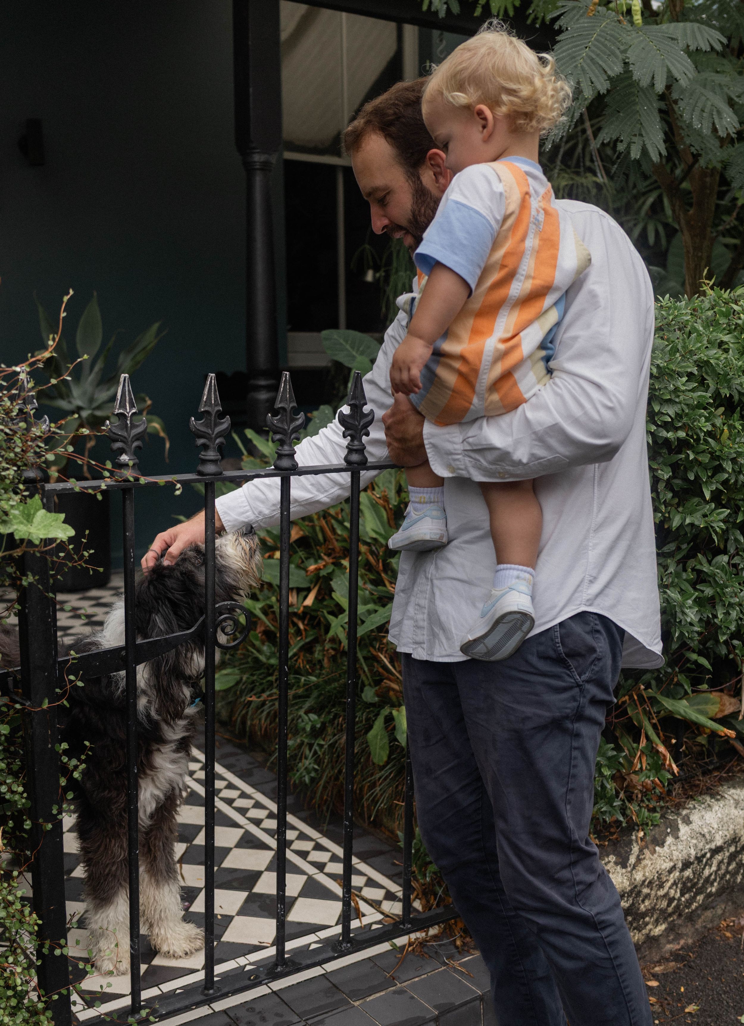 Father holds toddler while greeting a dog through a black iron gate.