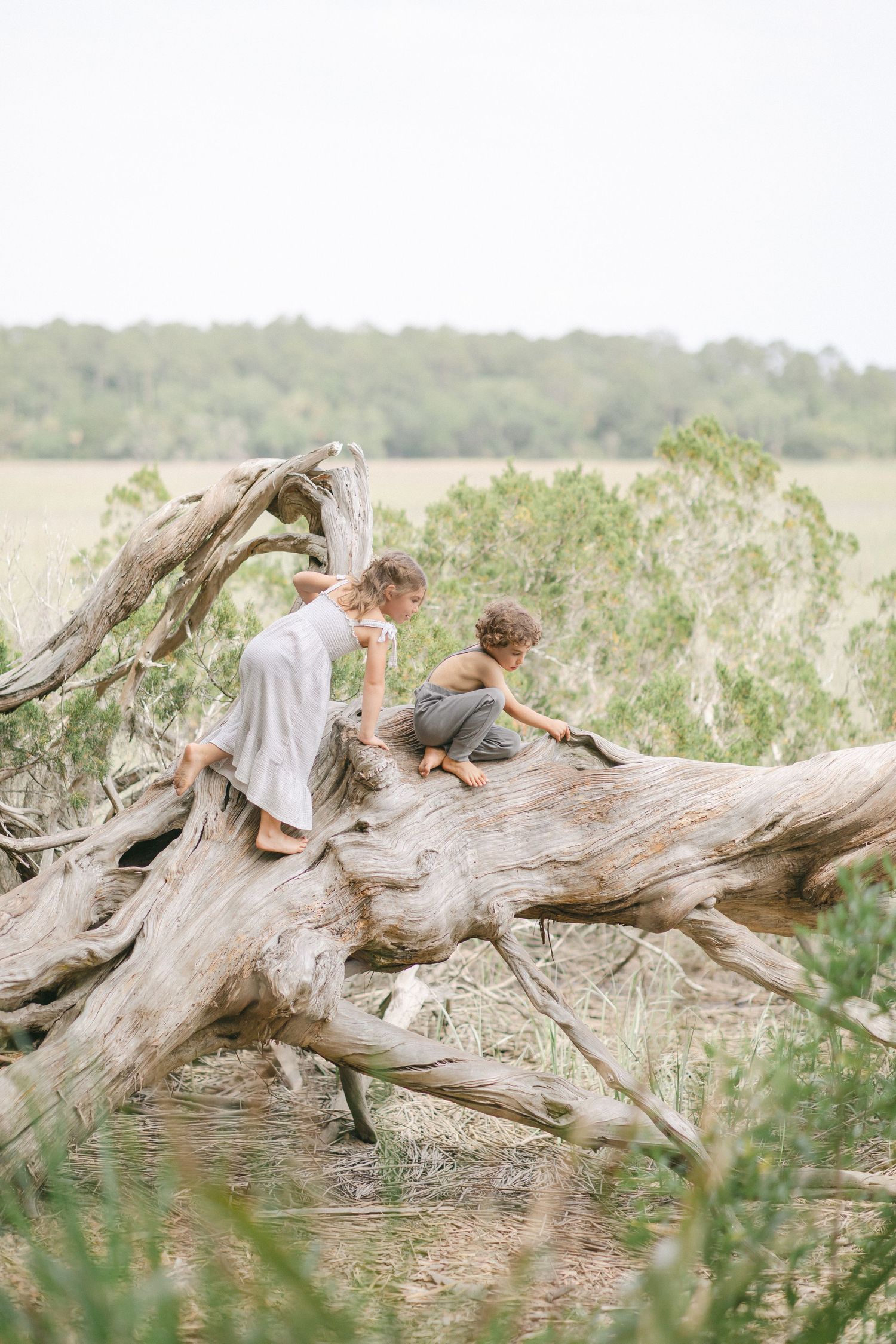 Two children climb and play on a large weathered driftwood log in a natural outdoor setting.