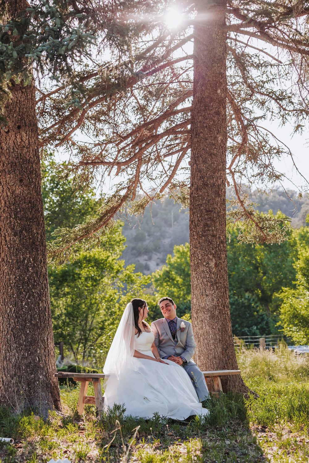 Bride and groom sitting on a bench under tall pine trees in a sunlit forest setting on their wedding day.