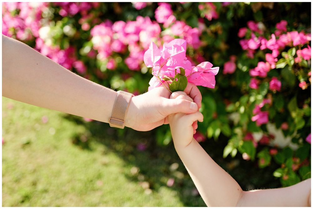 Grand Velas Riviera Nayarit Family Photographer capturing hands holding bougainvillea blooms during a lifestyle family photography session.