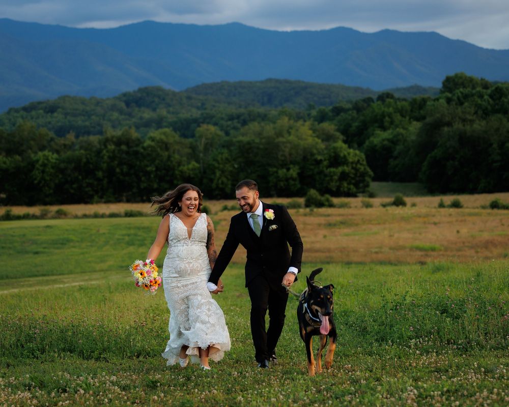 Smiling couple walks with their dog through scenic mountain meadow on wedding day.