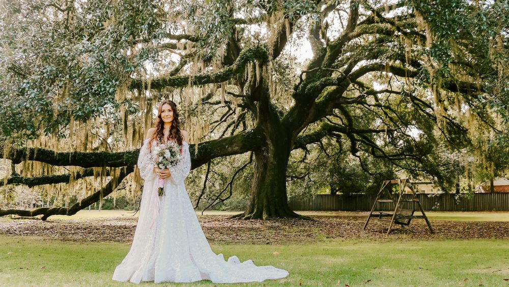 Elegant bridal portrait under a majestic Spanish moss oak tree.
